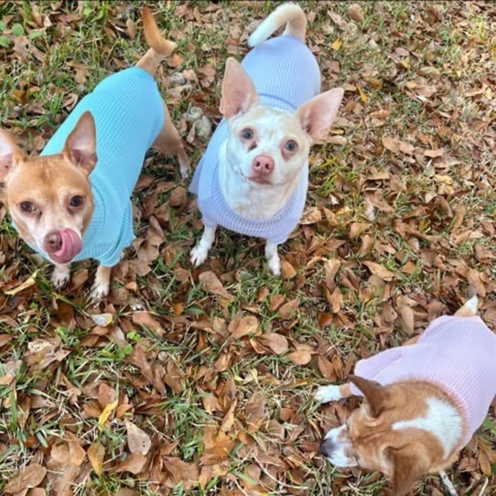 Meet your Posher, Jade